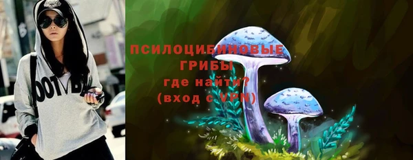 эйфоретик Алзамай