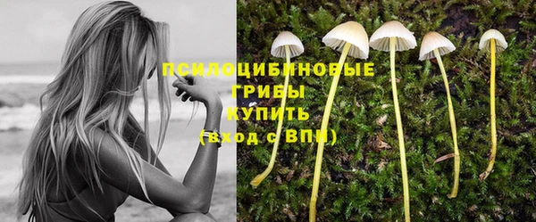 эйфоретик Алзамай