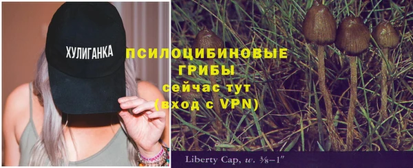 прущие крисы Алексеевка