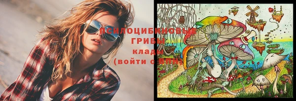 прущие крисы Алексеевка