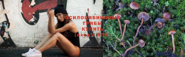 эйфоретик Алзамай