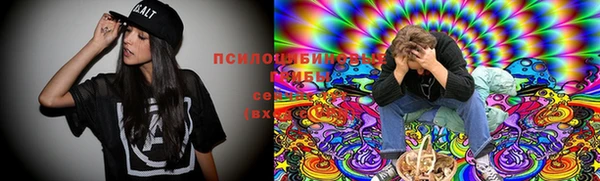 эйфоретик Алзамай