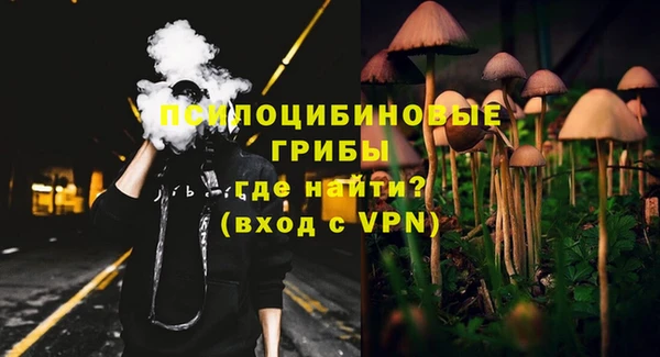 твердый Алексин