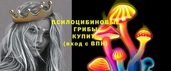эйфоретик Алзамай
