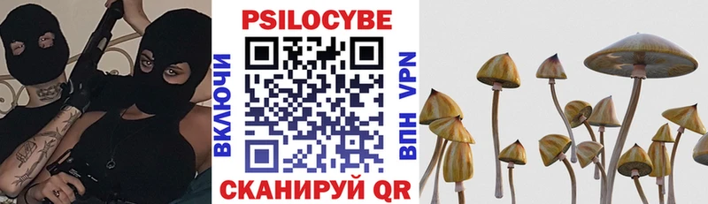 Галлюциногенные грибы мицелий  Чёрмоз 